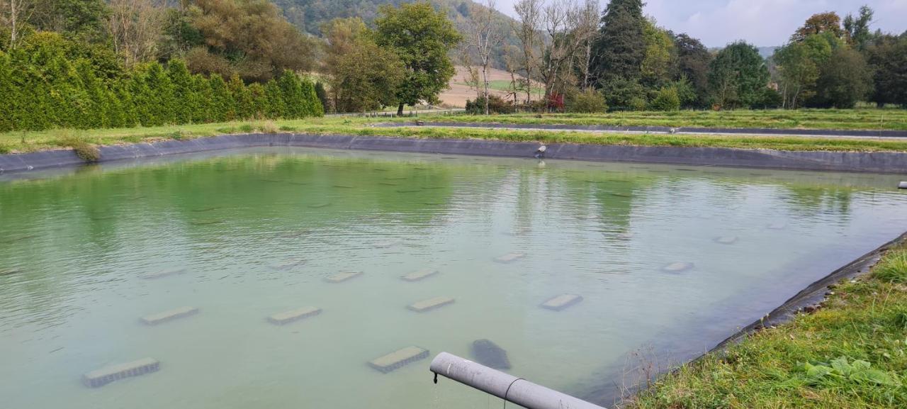 Le Moulin Aux Ecrevisses Bed & Breakfast Thonnance-lès-Joinville Dış mekan fotoğraf