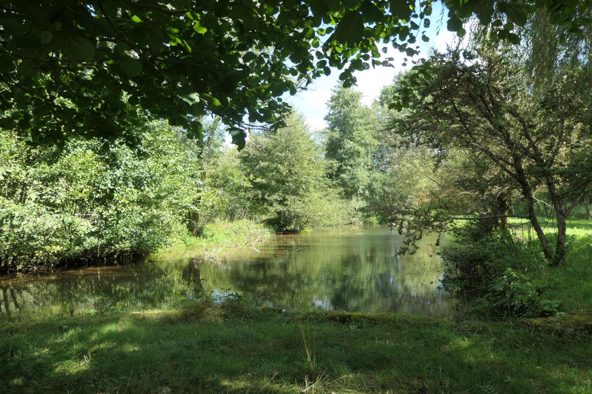Le Moulin Aux Ecrevisses Bed & Breakfast Thonnance-lès-Joinville Dış mekan fotoğraf